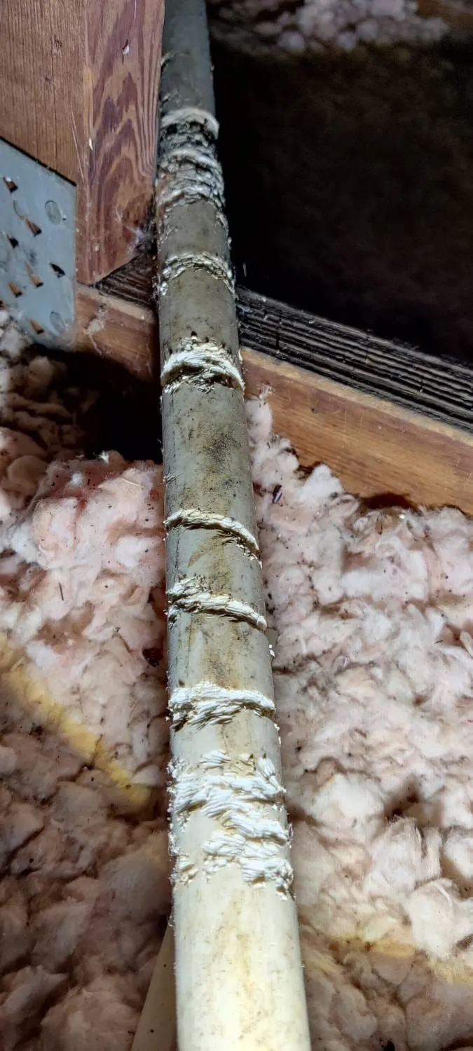 Home Inspection